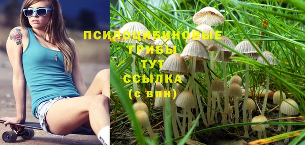 прущая мука Костерёво