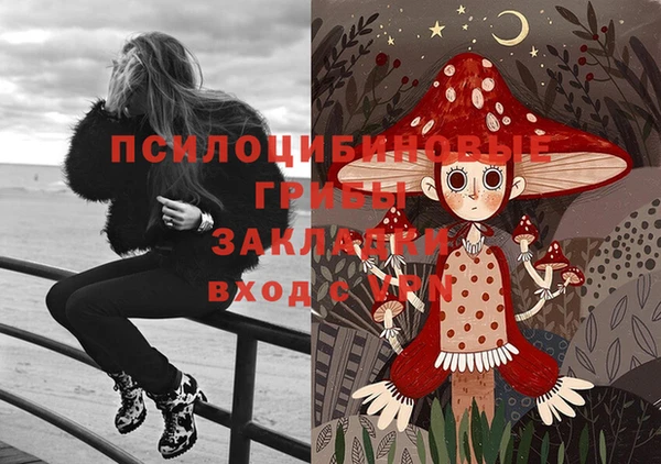 спиды Корсаков