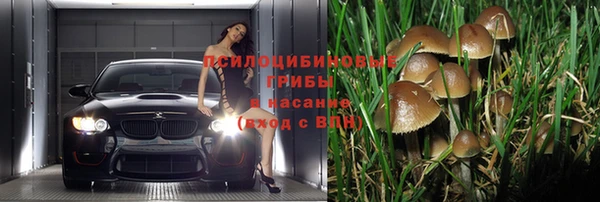 спиды Корсаков