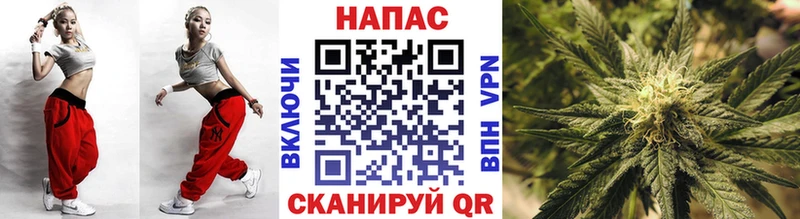 Конопля гибрид  где можно купить наркотик  Чердынь 